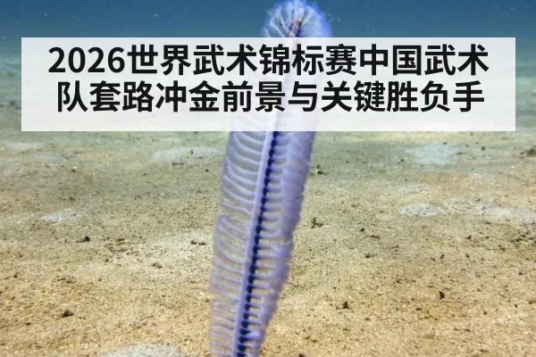 2026世界武术锦标赛中国武术队套路冲金前景与关键胜负手